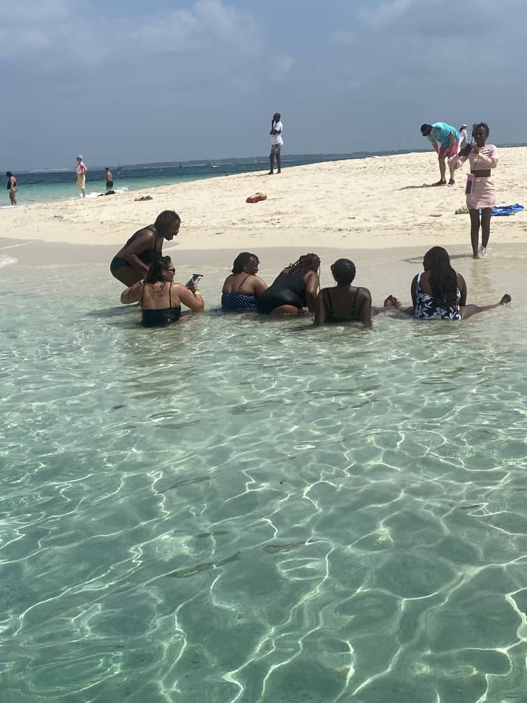 Elephants in Harmony